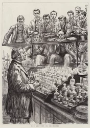 Medizinstudenten bei der Arbeit